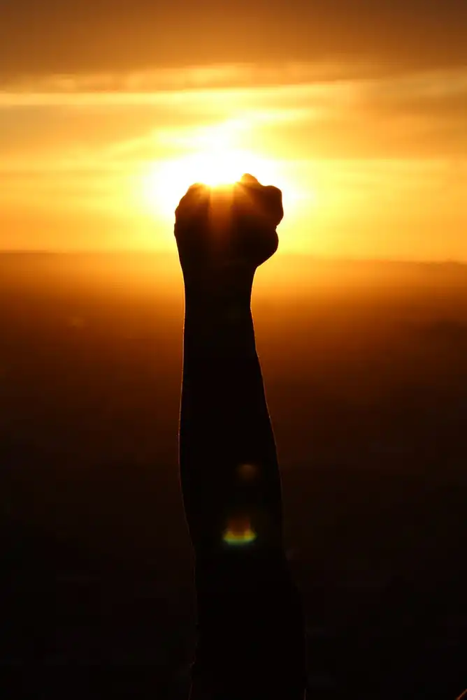 sunrise fist